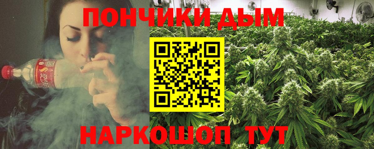 МАРИХУАНА ГИДРОПОН  Бошки Шишки планчик  Бошки Шишки сатива  Вход с VPN  Конопля тримм  Будённовск 